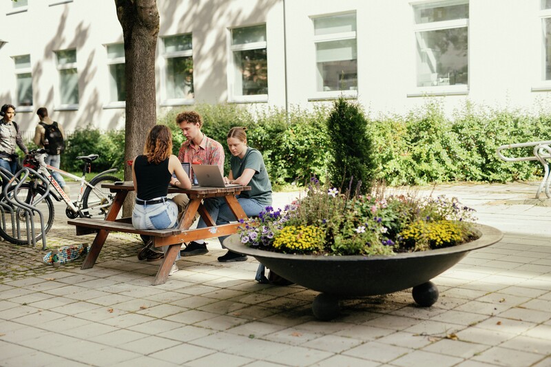 bilde av studenter som sitter på en benk og jobber